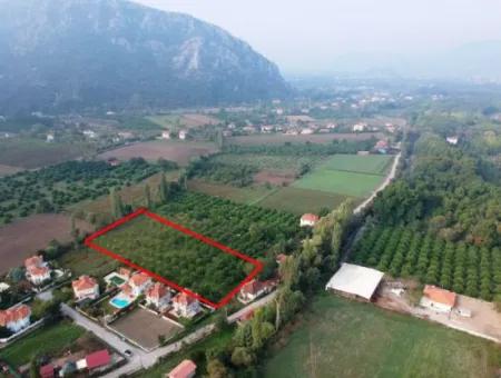 Muğla Okçular Marmarlıda 4.000M2 Zoning Plan Land Suitable For Investment For Sale