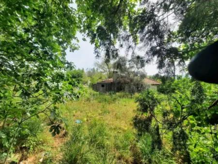 5 300 M2 Land For Sale In Ortaca Okçular Main Road Zero Zoning Plan