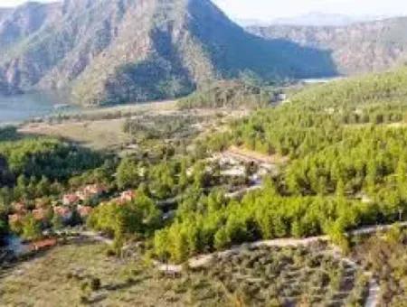 Muğla Dalamanda Dam View 1.000 M2 Residential Zoned Land In Nature For Sale