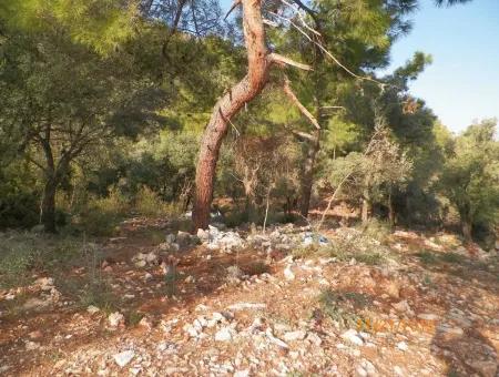 Fevziye Land For Sale With Sea View