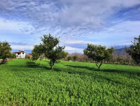 1500 M2 Detached Land In Nature For Sale In Ortaca Okçular