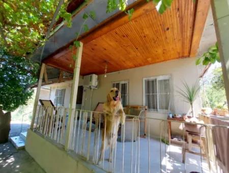 Single-Storey Detached 2 1 Village House For Rent On 4 600 M2 Land In Muğla Ortaca Ekşiliyurt