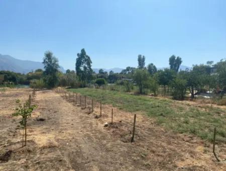 Köyceğiz Çandır Dalyan Canal Front 3210 M2 Land For Sale