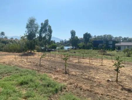 Köyceğiz Çandır Dalyan Canal Front 3210 M2 Land For Sale