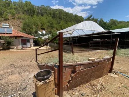 Ortaca Gölbaşı Farm And Detached House For Rent.