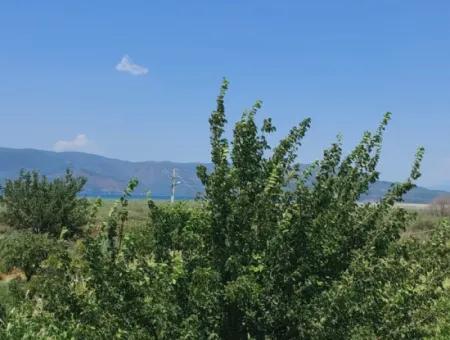 5 850 M2 Detached Land With Title Deed Lake View And Village House For Sale In Ortaca Eskiköy