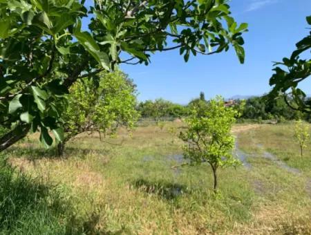 1120 M2 Land For Sale In Ortaca Akıncı