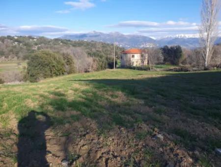 Denizli Çameli Kirazlıyayla Nature View 2 223 M2 Detached Land For Sale