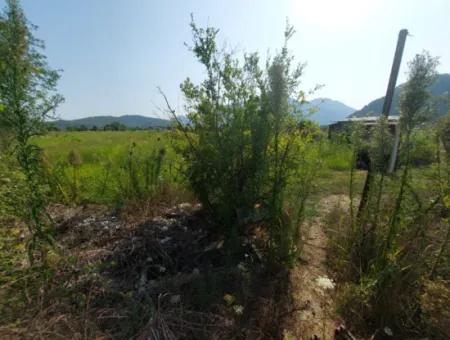 Ortaca Mergenlide Detached Title Deed 11.000 M2 Bargain Land For Emergency Sale