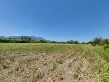 20.600 M2 Of Land In Ortaca Dalyan, 250 M2 Of Detached Land With The Right To Build A House Is For Sale