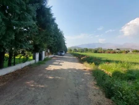 Detached 1 000 M2, 250M2 Bargain Land With Construction Rights For Sale In Köyceğiz Beyobasi