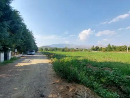 Detached 1 000 M2, 250M2 Bargain Land With Construction Rights For Sale In Köyceğiz Beyobasi