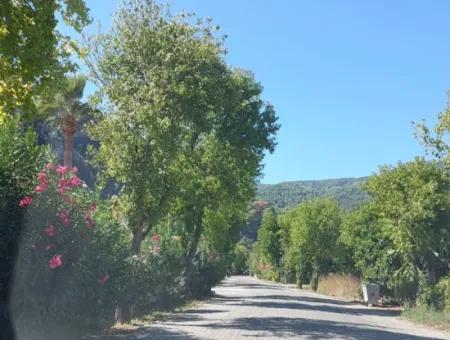 Muğla Dalyan 970 M2 Commercial Zoned Bargain Land For Sale