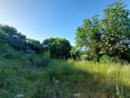 1.000M2 Detached Land With Köyceğiz Lake View For Sale In Dalyan