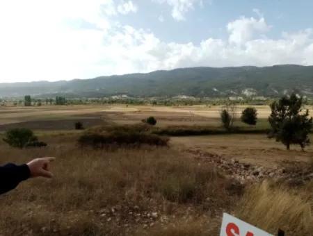 2603 M2 Field For Sale In Denizli Çameli Belevi Neighborhood