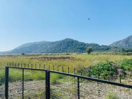 6000 M2 Corner Parcel Field For Sale In Ortaca Güzelyurt