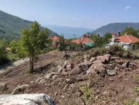 Muğla Köyceğiz Yayla Mah 560 M2 Land For Sale