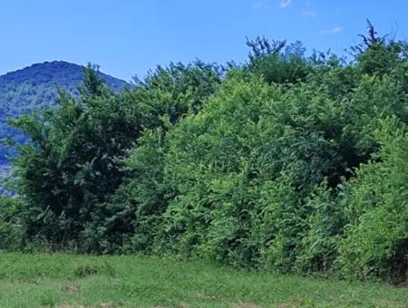 Muğla Ortaca Fevziye 8.440 M2 Land, 703 M2 Shared Field For Sale