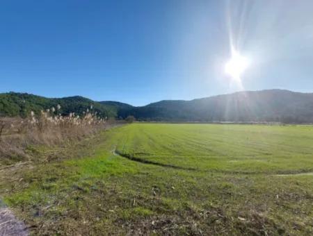 19.000 M2 Kepir Fertile Land Suitable For Investment In Ortaca Güzelyurt For Sale