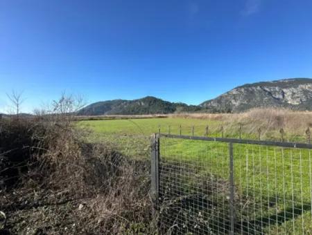 Fields Suitable For Cooperative In Ortaca Güzelyurt Are For Sale