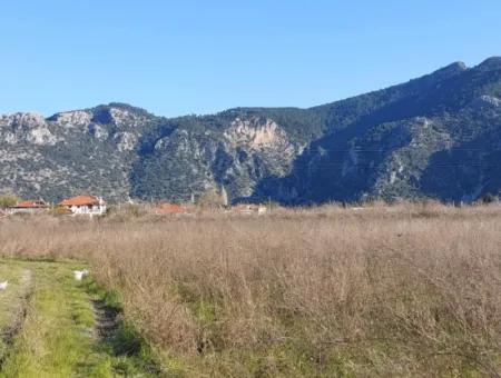 4.800 M2 Land For Sale In Muğla Ortaca Dalyan