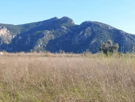 4.800 M2 Land For Sale In Muğla Ortaca Dalyan