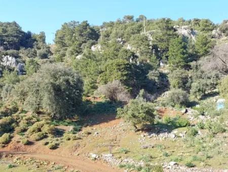 28.350 M2 Land For Sale In Ortaca Gökbelde With Detached Title Deed Sea View