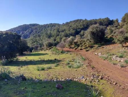 28.350 M2 Land For Sale In Ortaca Gökbelde With Detached Title Deed Sea View