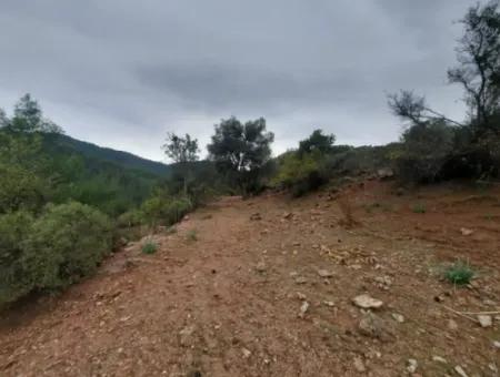 24.000 M2 Detached Land For Sale In Muğla Dalyan Gökbelde Nature