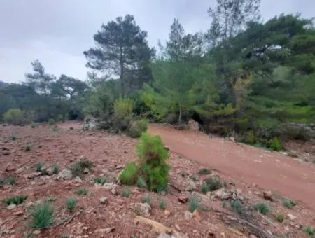 24.000 M2 Detached Land For Sale In Muğla Dalyan Gökbelde Nature