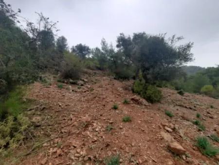 24.000 M2 Detached Land For Sale In Muğla Dalyan Gökbelde Nature