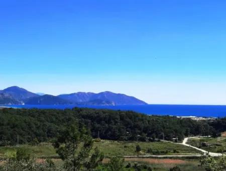 5.000 M2 Residential Zoned Land With Full Sea View In Ortaca Sarigerme For Sale