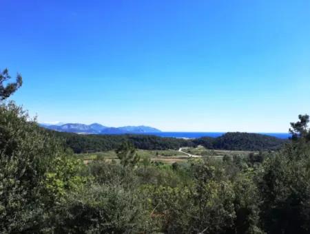 5.000 M2 Residential Zoned Land With Full Sea View In Ortaca Sarigerme For Sale