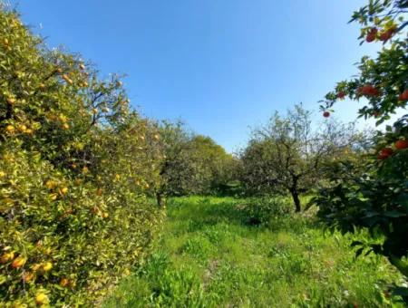 1 520 M2 Land Suitable For Investment For Sale In Ortaca Okçular