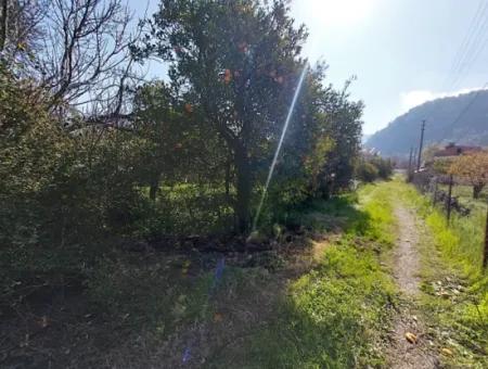 1 520 M2 Land Suitable For Investment For Sale In Ortaca Okçular