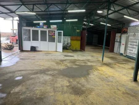 Muğla Ortaca 250M2 Warehouse For Rent In Dalyan