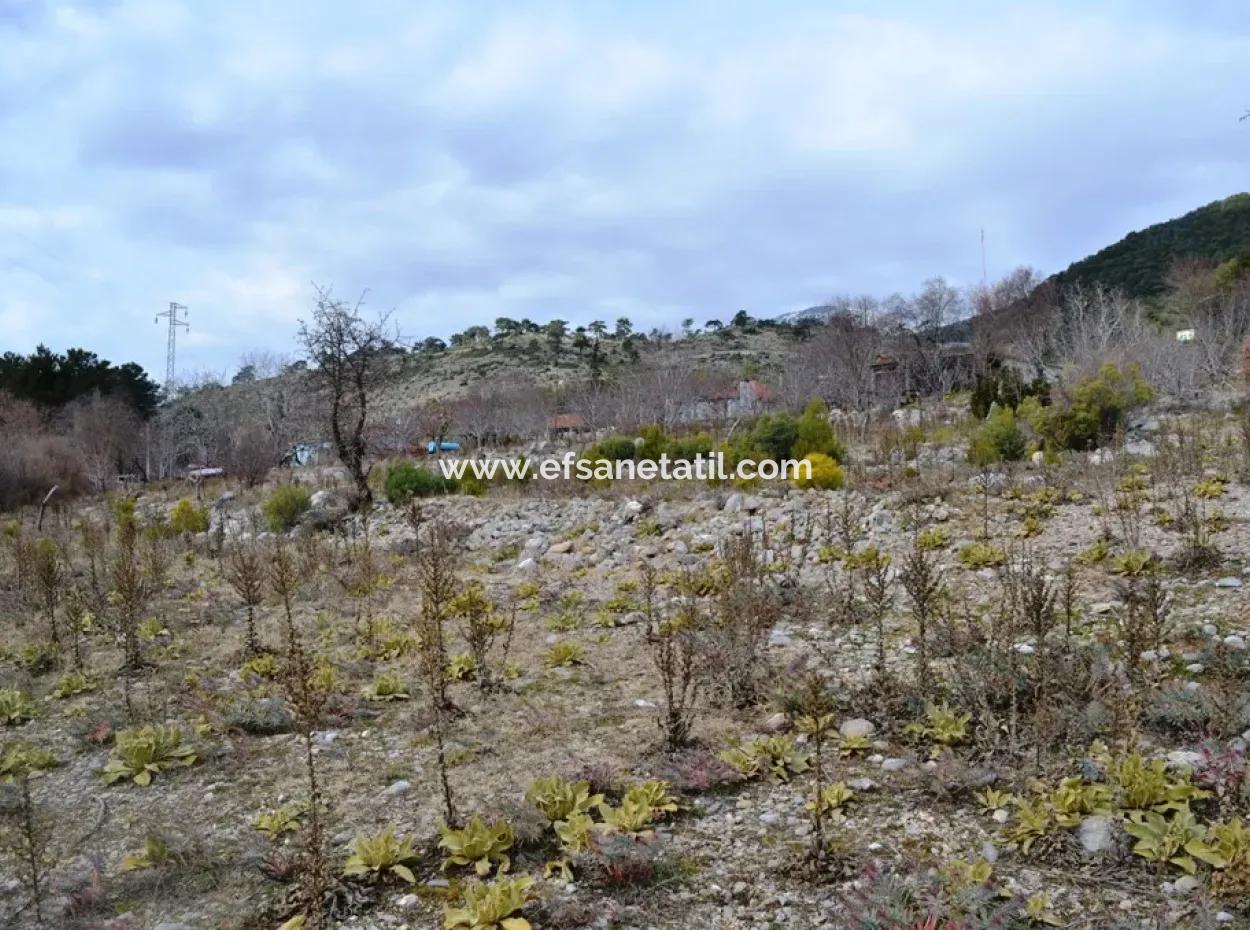 Fethiye, Nifte, 2 000 M2, Müstakil Satılık, Kelepir Arazi