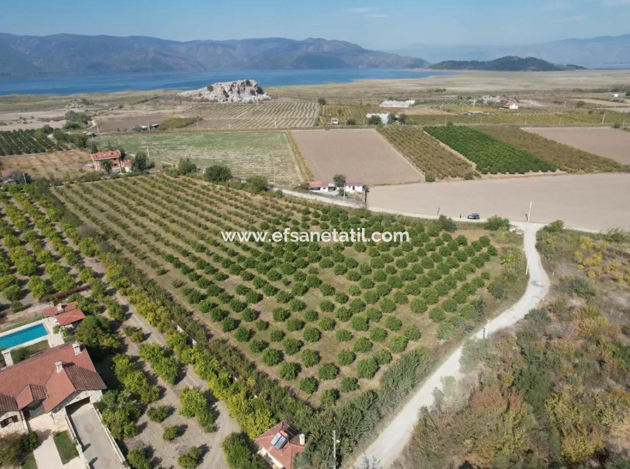 Ortaca Eskiköyde 17.000 M2 Müstakil Nar Bahçesi Satılık