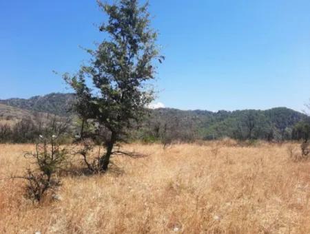 Muğla Dalamanda 42.432M2 Müstakil Tapulu Arazi Satılık