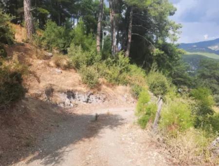 Köyceğiz Ağla Yaylada 550M2 Projesi Hazır, İmarlı Kelepir Arsa Satılık