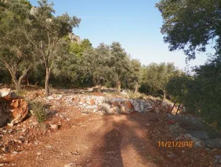 Fevziye De Satılık Deniz Manzaralı Arazi