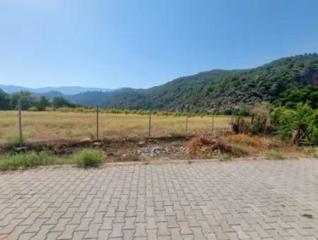 Köyceğiz Çandır Dalyan Kanalına Sıfır 3210 M2 Arazi Satılık