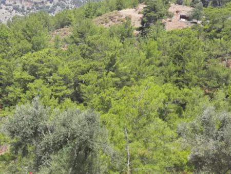 Dalyan Gökbelde Göl Ve Deniz Manzaralı Müstakil Tapulu Satılık 82 M2 Arazi Satılık