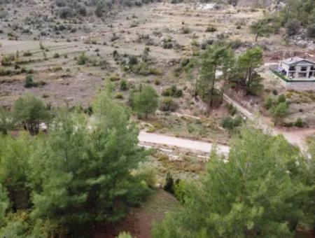 Fethiye Üzümlü Kızılbelde 7.000M2, 250M2 İnşaat Hakkı Olan Satılık Yatırıma Uygun Arazi