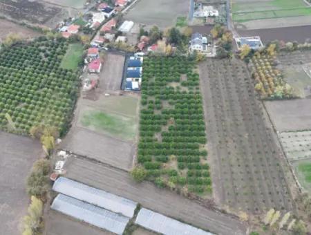 Ortaca Okçularda Yatırıma Uygun İmar Planı İçinde 9750  M2 Arazi Satılık