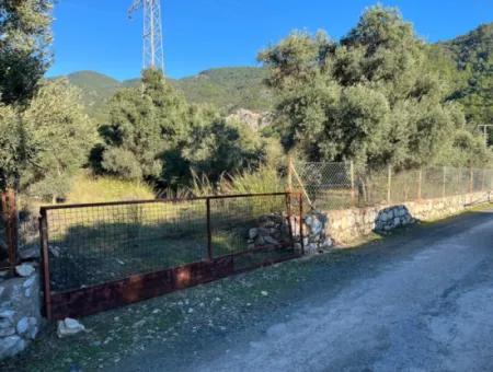 Muğla, Köyceğiz, Ekincikte Yatırma Uygun 3.300 M2 Arazi Satılık