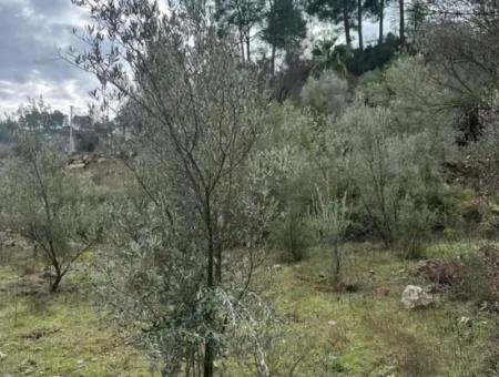 Fethiye Gökçeovacıkta Satılık 1709 M2